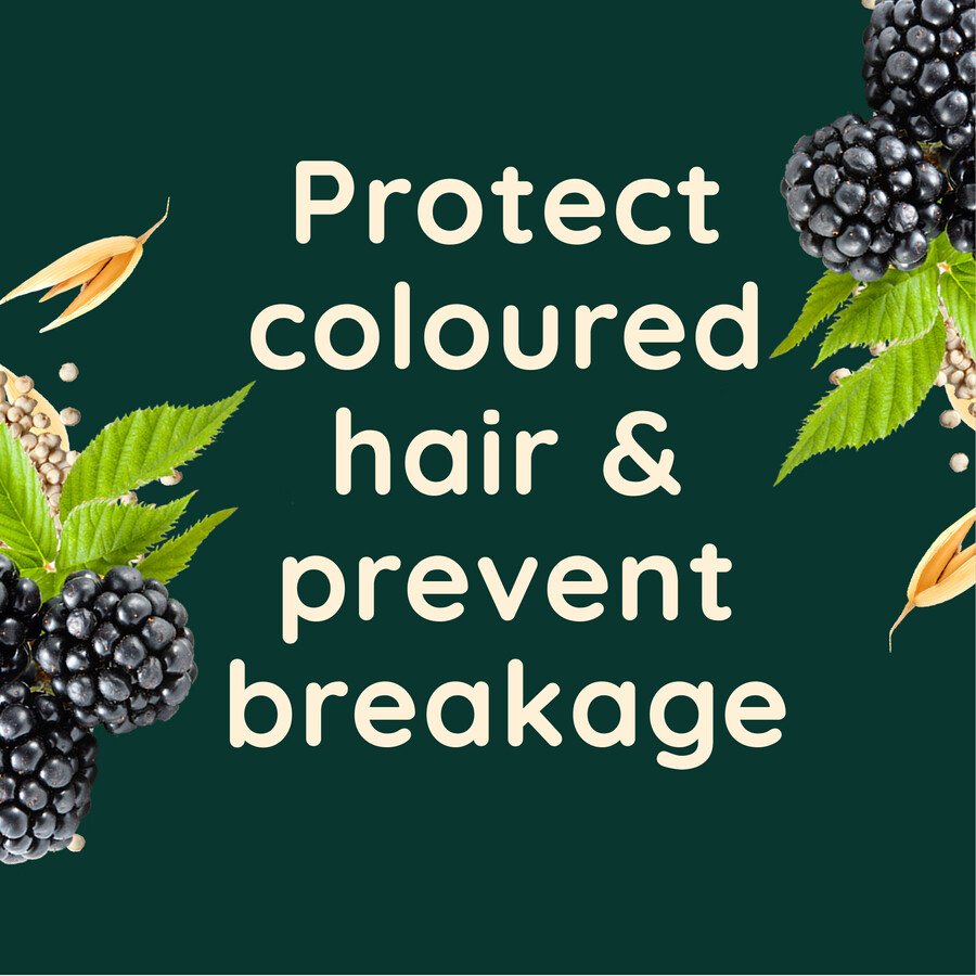 colour protect brombÆr- og quinoa-blandingsbalsam aveeno